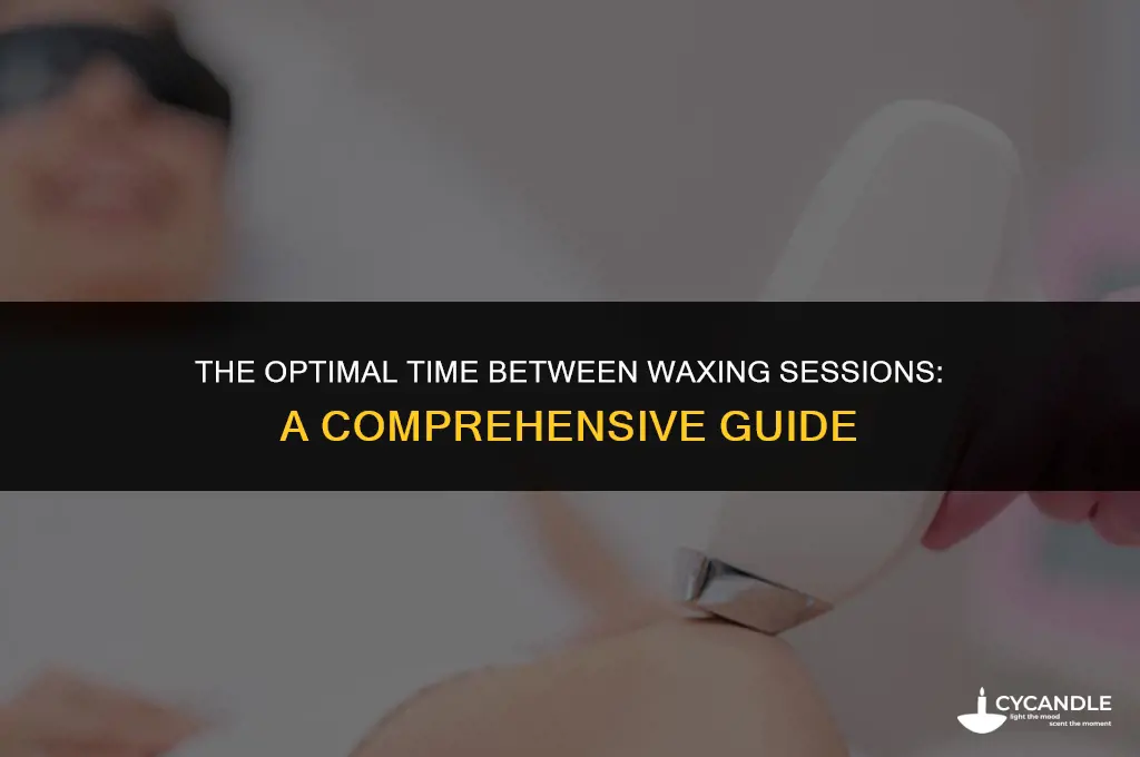 how long do you wait to get waxed again