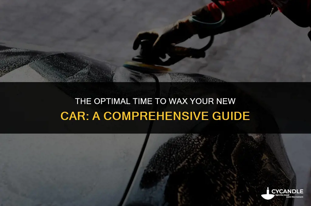 how long do you wait to wax a nee car