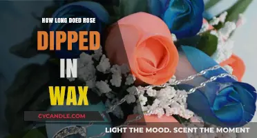 Eternal Blooms: The Lasting Beauty of Wax-Dipped Roses