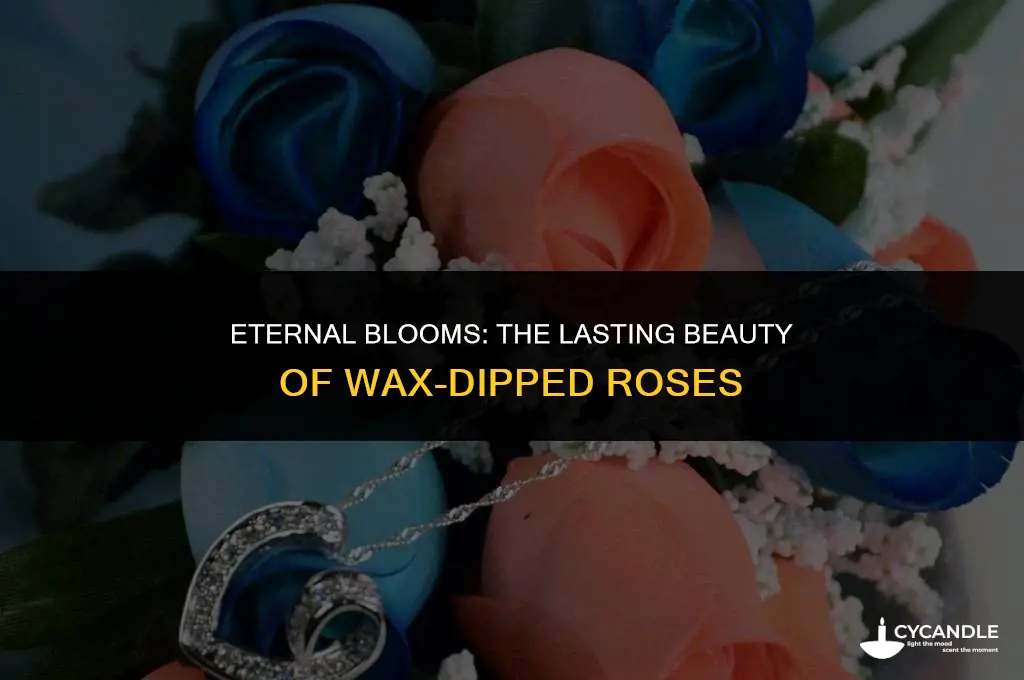 how long doed rose dipped in wax