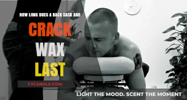 The Ultimate Guide to Back Sack and Crack Wax Longevity