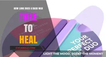 Soothing Your Skin: The Complete Guide to Back Wax Healing Time