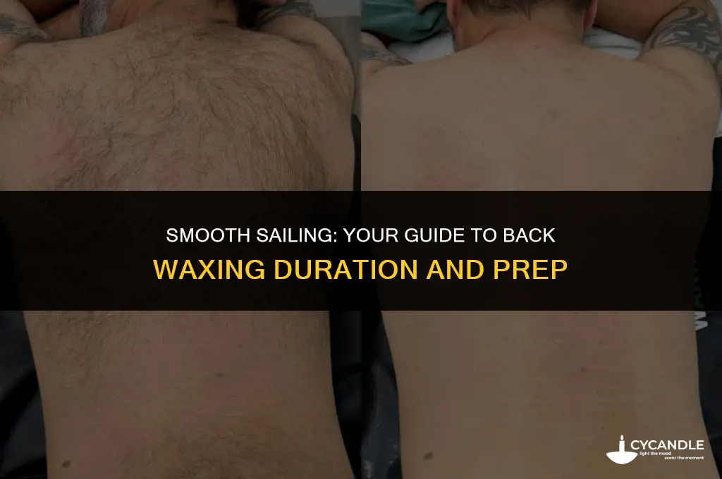how long does a back wax take