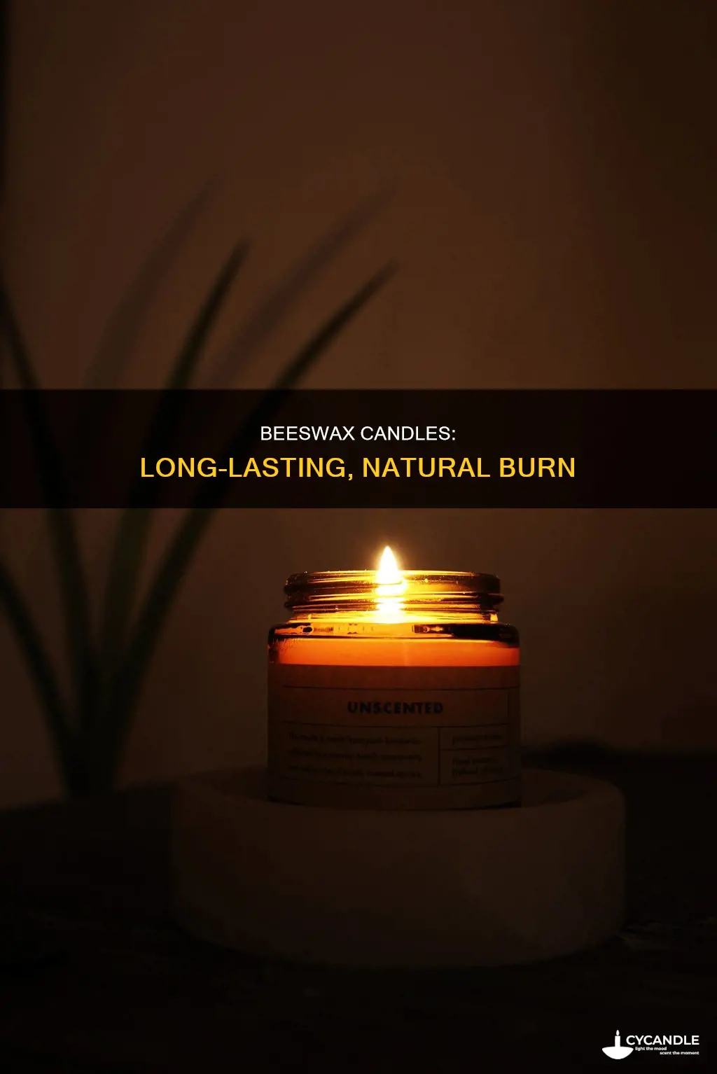 how long does a beeswax candle last