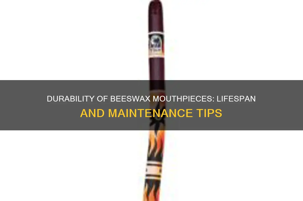 how long does a beeswax mouthpiece last