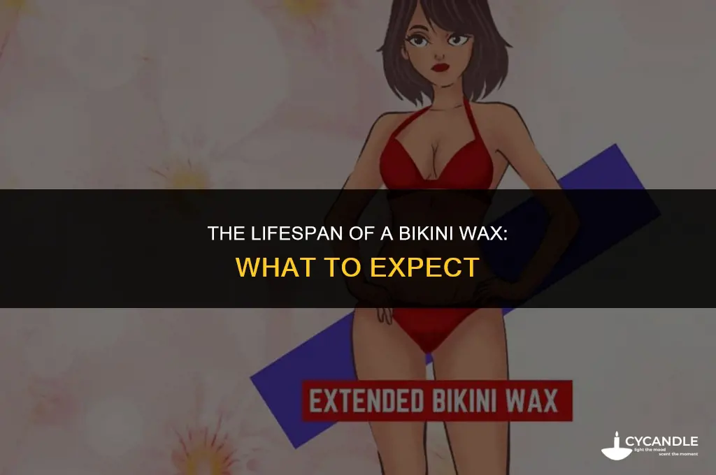 how long does a biki wax last