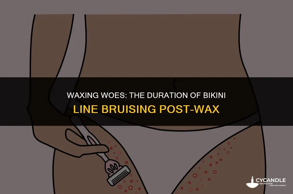 how long does a bikini line bruise from waxing last