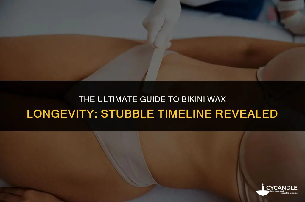 how long does a bikini wax last before stubble