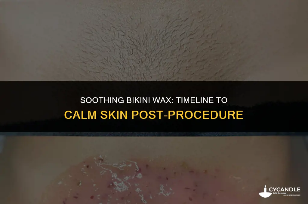how long does a bikini wax take to calm down