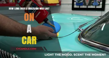 The Durability of Brazilian Wax on Your Car: A Complete Guide
