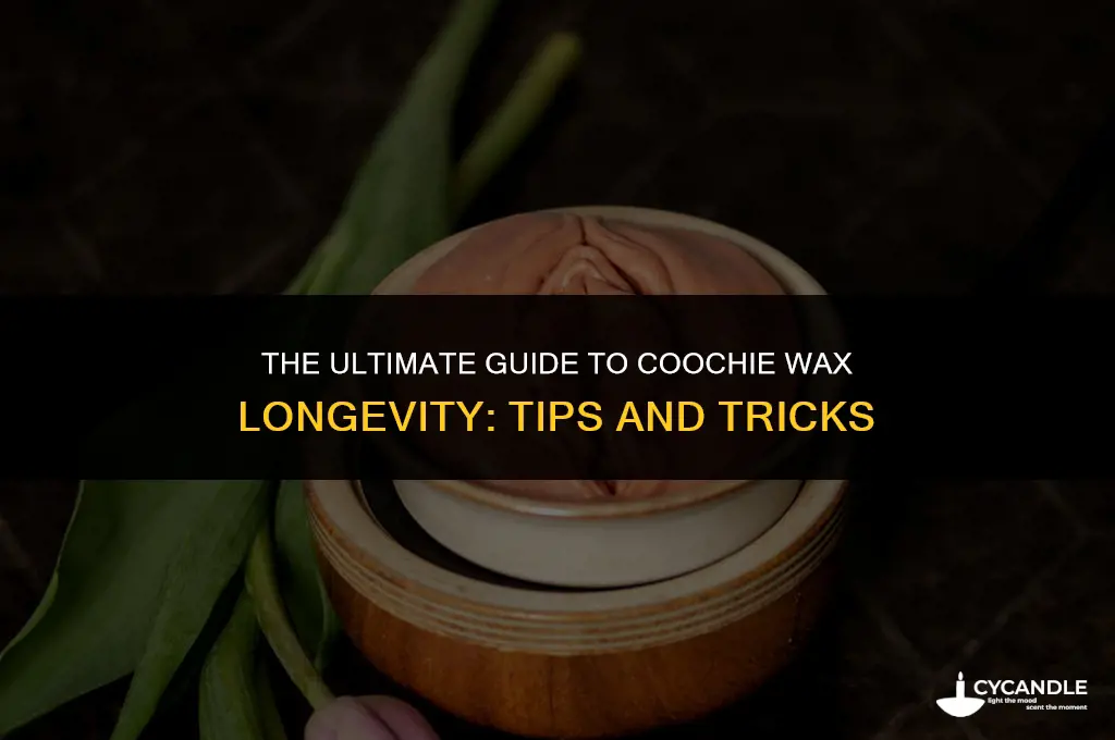 how long does a coochie wax last