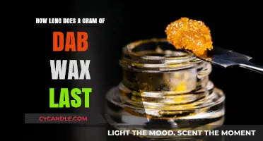 Maximizing Your Dab Wax Experience: A Guide to Longevity
