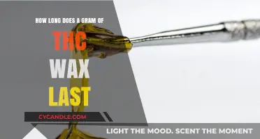 Exploring the Duration: How Long Does a Gram of THC Wax Last?