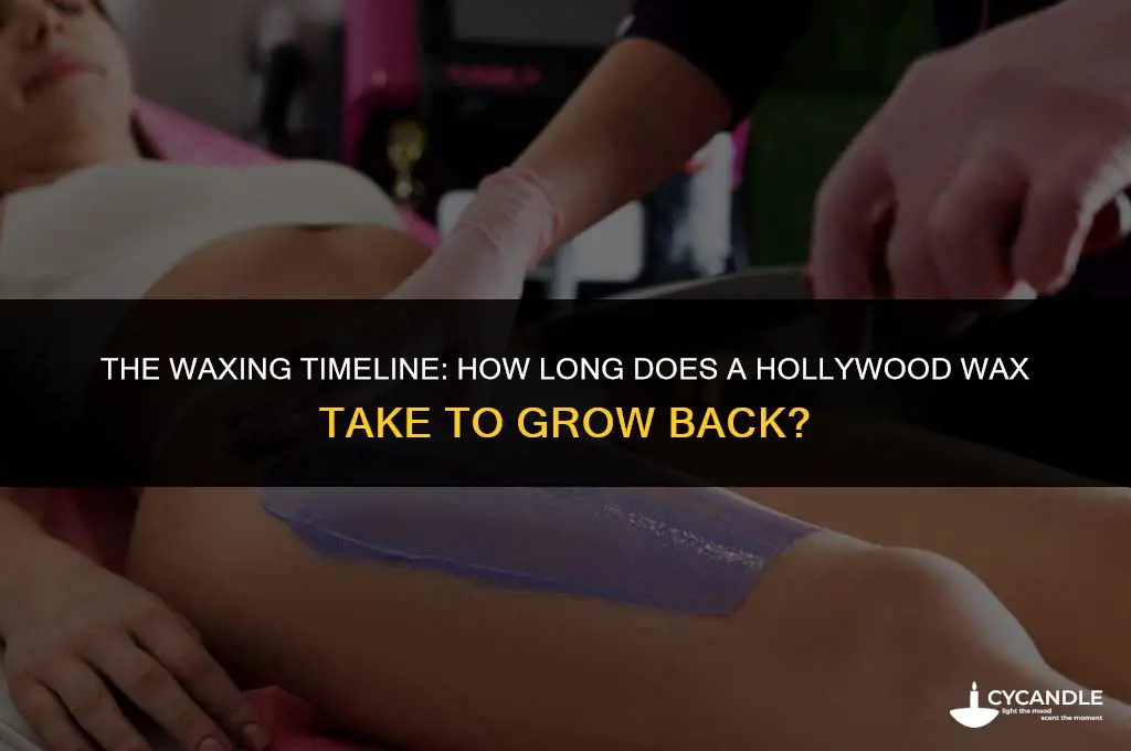 how long does a hollywood wax take to grow back