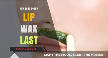The Complete Guide to Lip Wax Longevity: Tips and Tricks