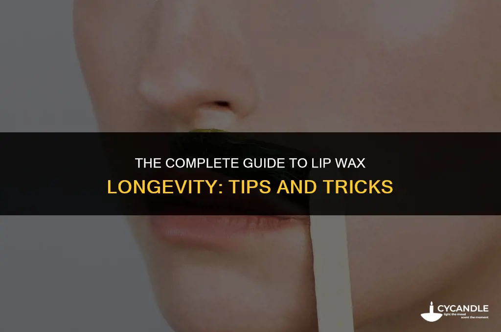 how long does a lip wax last