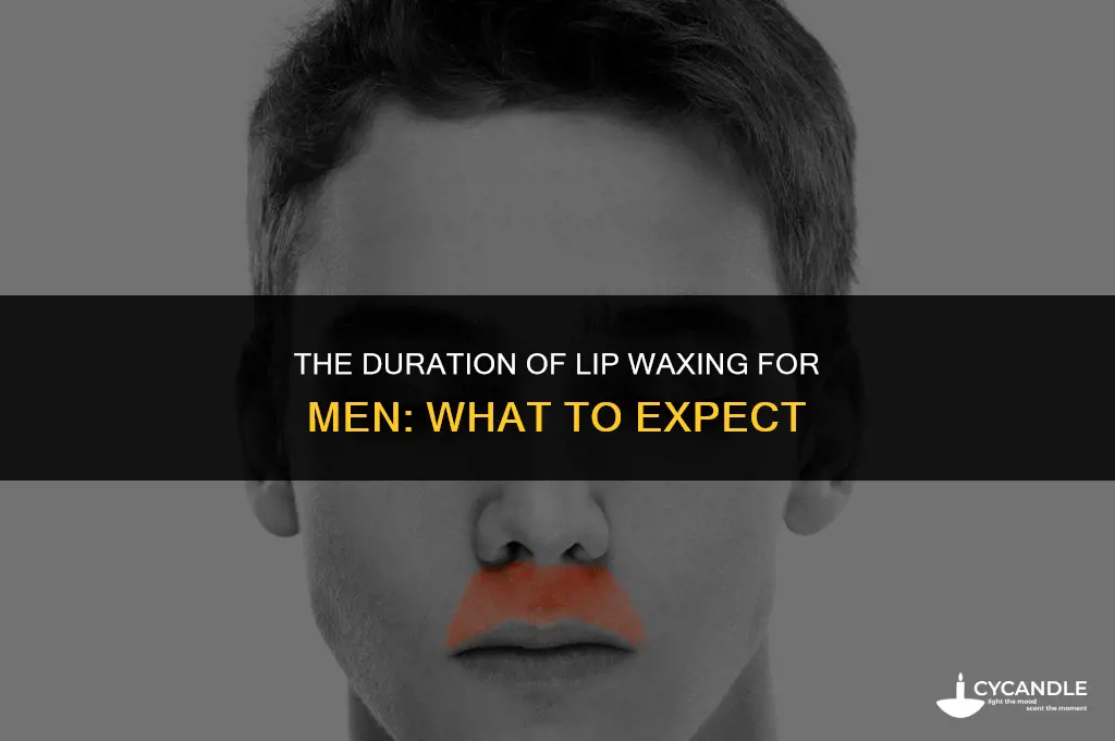how long does a lip waxing last for men