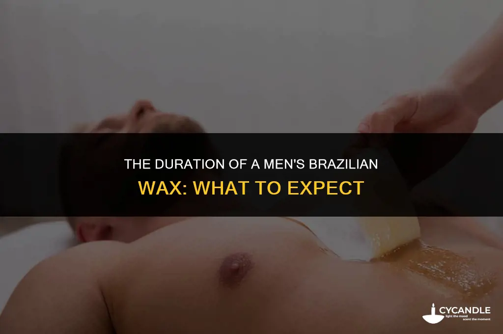 how long does a mens vrazillian wax last for