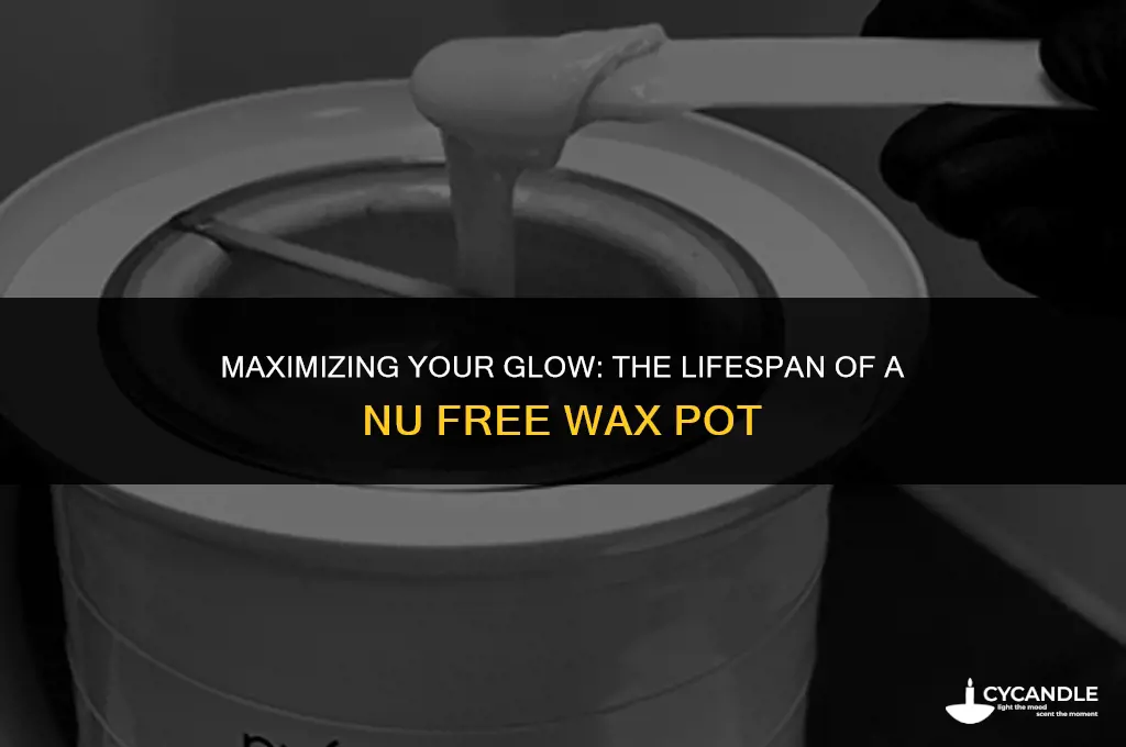how long does a nu free wax pot last