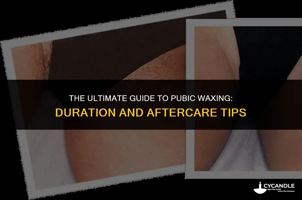 how long does a pubic wax last
