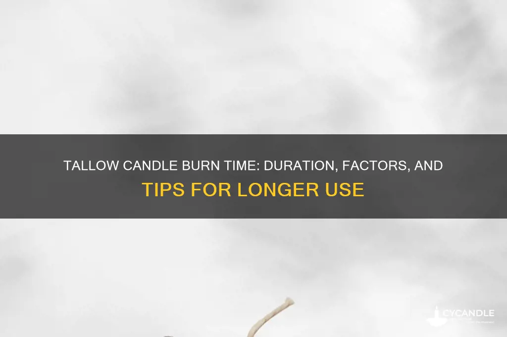 how long does a tallow candle burn