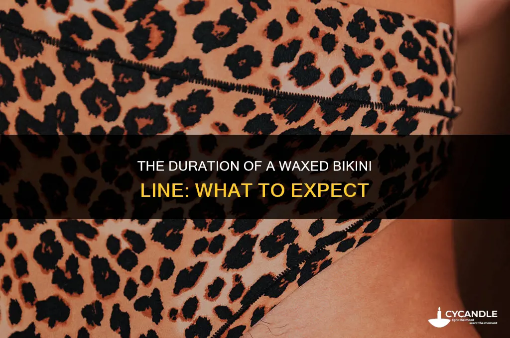 how long does a wax bikini line last