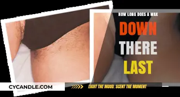 The Duration of a Bikini Wax: What to Expect