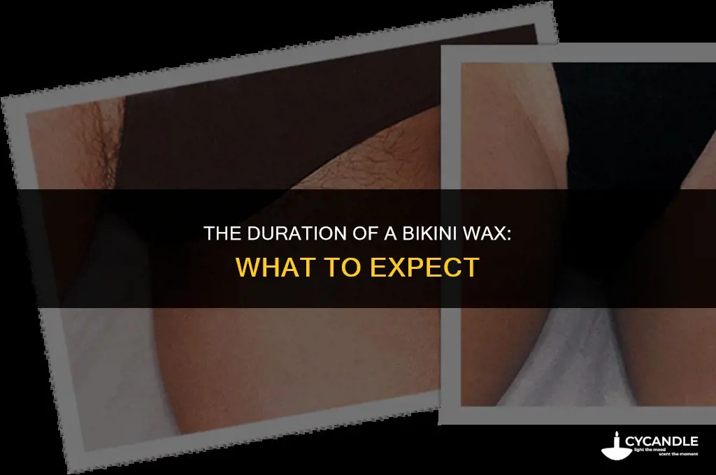 how long does a wax down there last