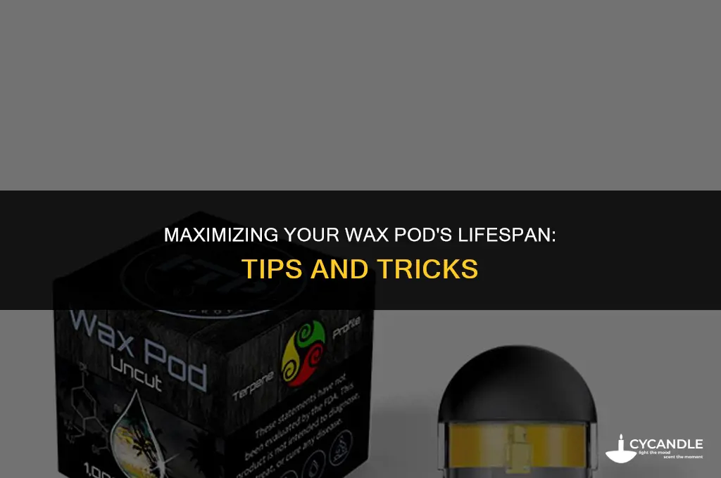how long does a wax pod last