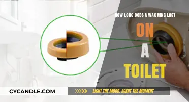 The Lifespan of a Wax Ring: A Comprehensive Guide for Toilet Maintenance