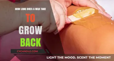 The Wax Regrowth Timeline: What to Expect After Your Next Session