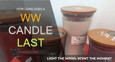White Whale Candles: Long-Lasting, Slow-Burning Fragrance