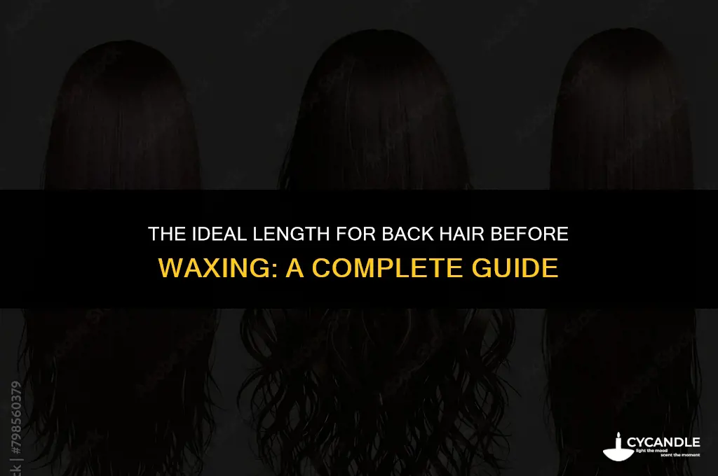 how long does back hair need before waxing