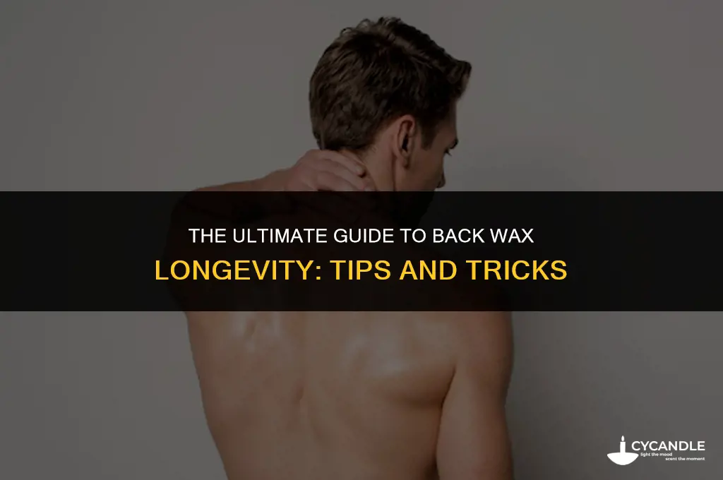 how long does back wax last