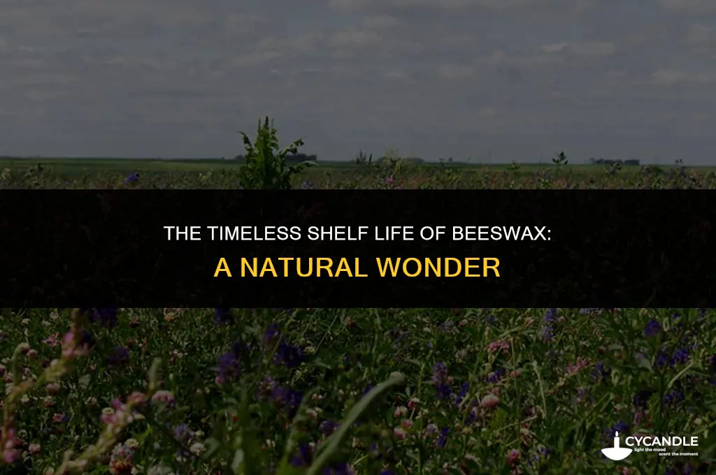 how long does bees wax last