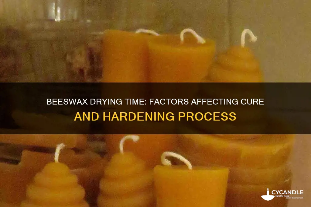 how long does beeswax take to dry
