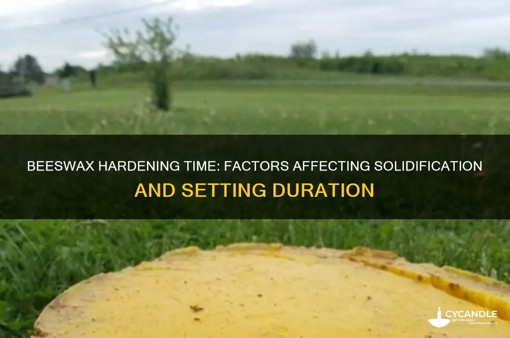 how long does beeswax take to harden