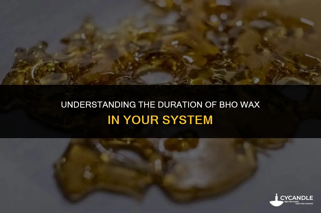 how long does bho wax stay in your system