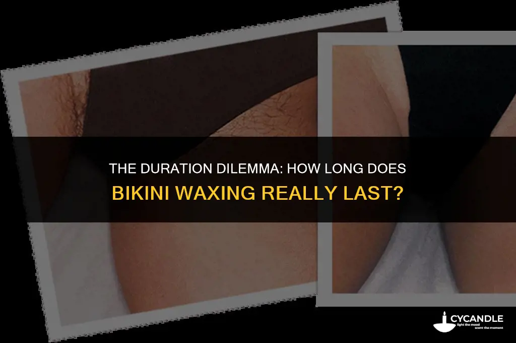 how long does bikini waxing guy last