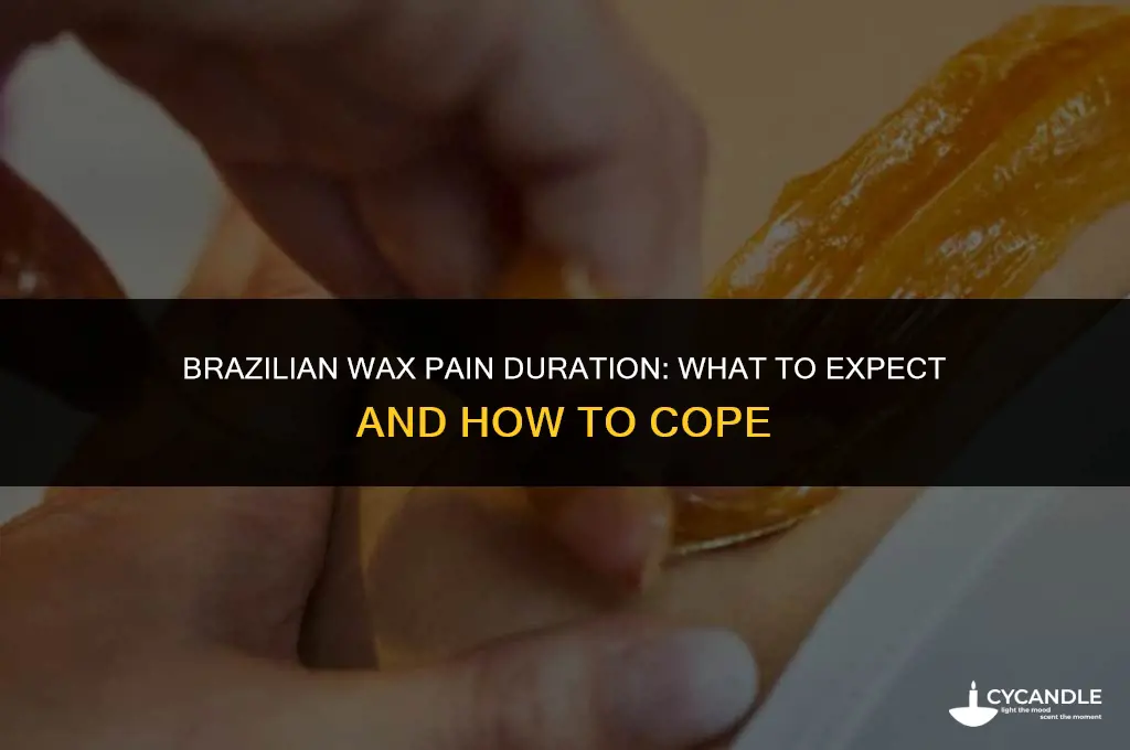 how long does brazilian wax hurt reddi