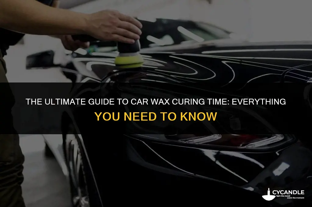 how long does car wax need to cure