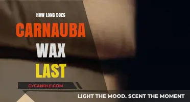 The Durability of Carnauba Wax: A Comprehensive Guide