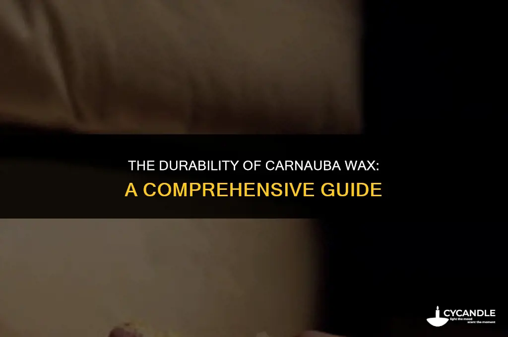 how long does carnauba wax last