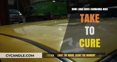 The Ultimate Guide to Carnauba Wax Curing Time