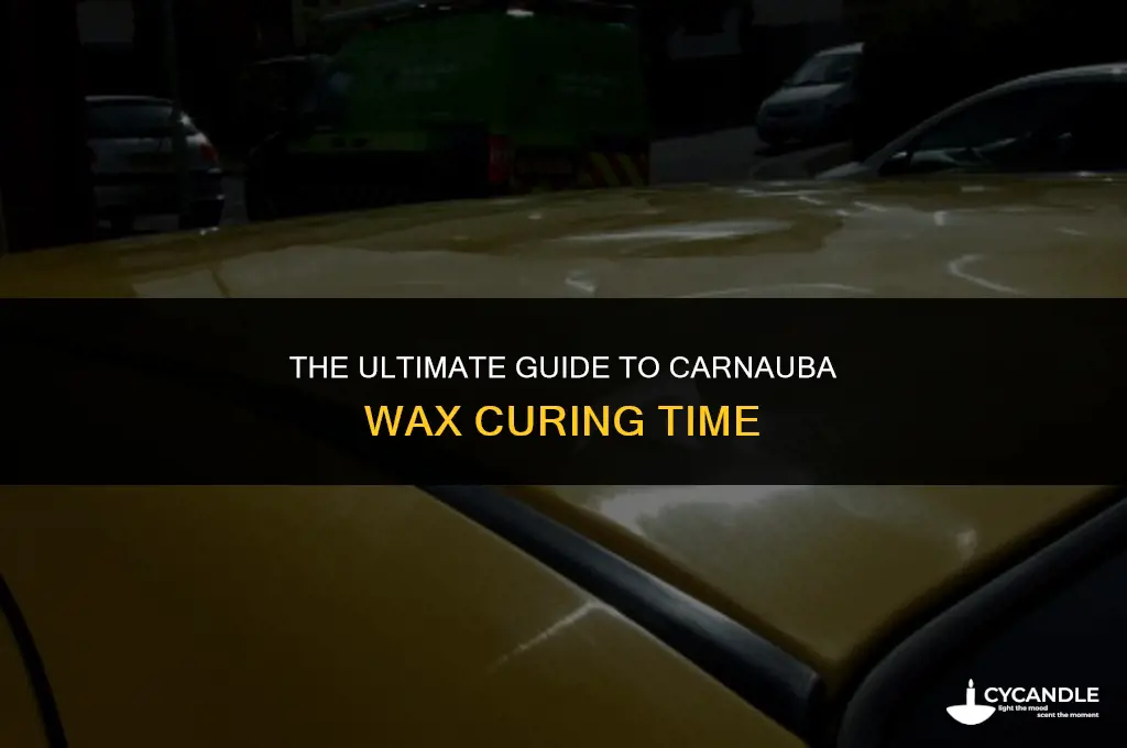 how long does carnauba wax take to cure