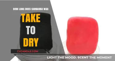 Drying Time of Carnauba Wax: A Comprehensive Guide