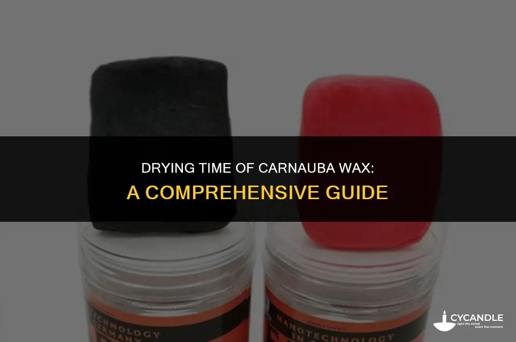 how long does carnauba wax take to dry