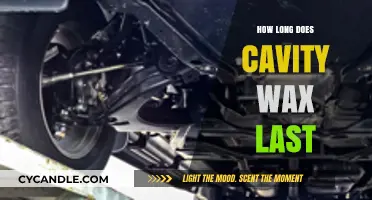 Understanding Cavity Wax Longevity: A Comprehensive Guide