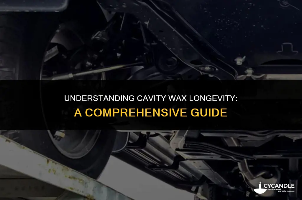 how long does cavity wax last