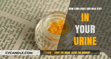 CBD Wax Detection: Understanding Its Presence in Urine